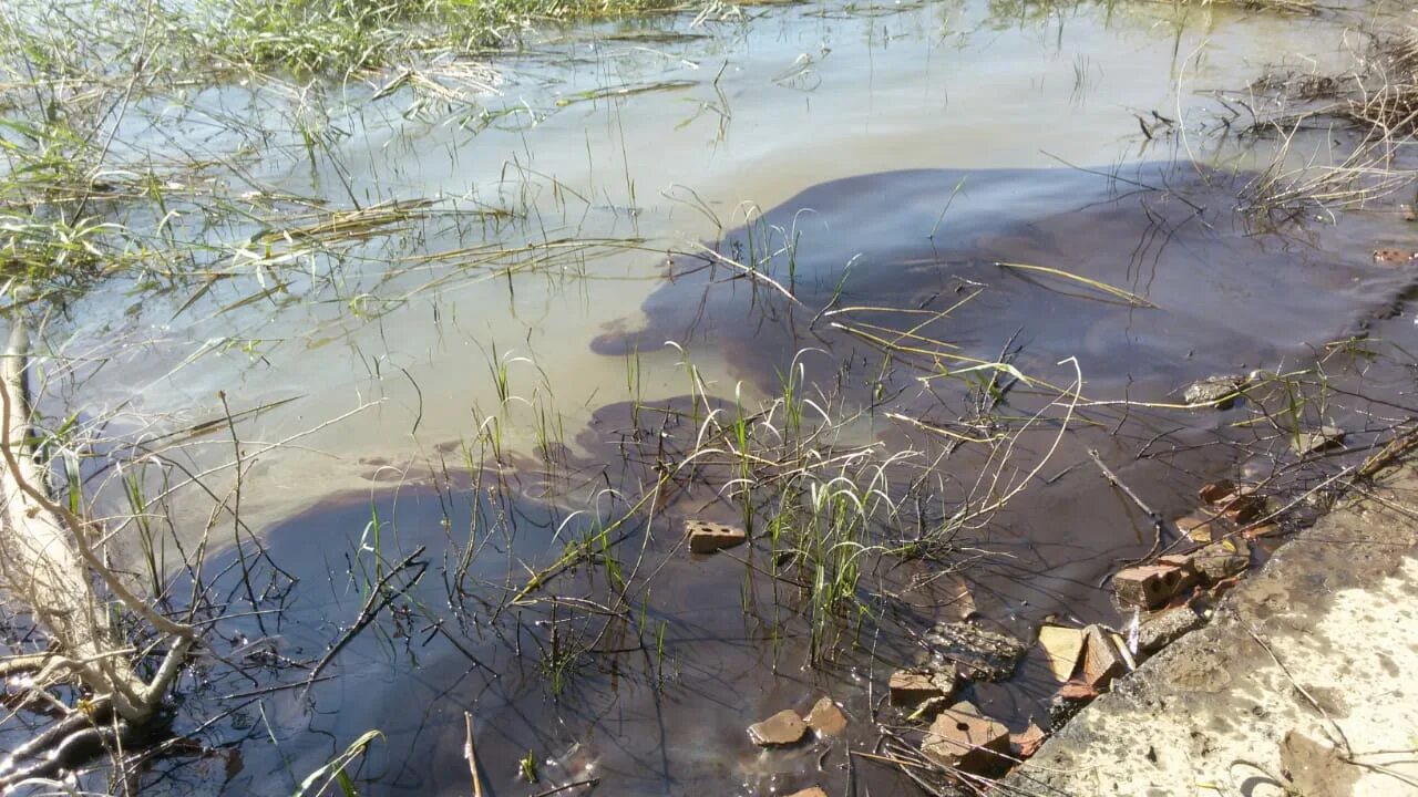 Астрахань загрязнение Волги нефтью. Волга загрязнение воды Астрахань. Астрахань разливы Волги. Загрязнение рек в Астрахани. На дне волги астрахань