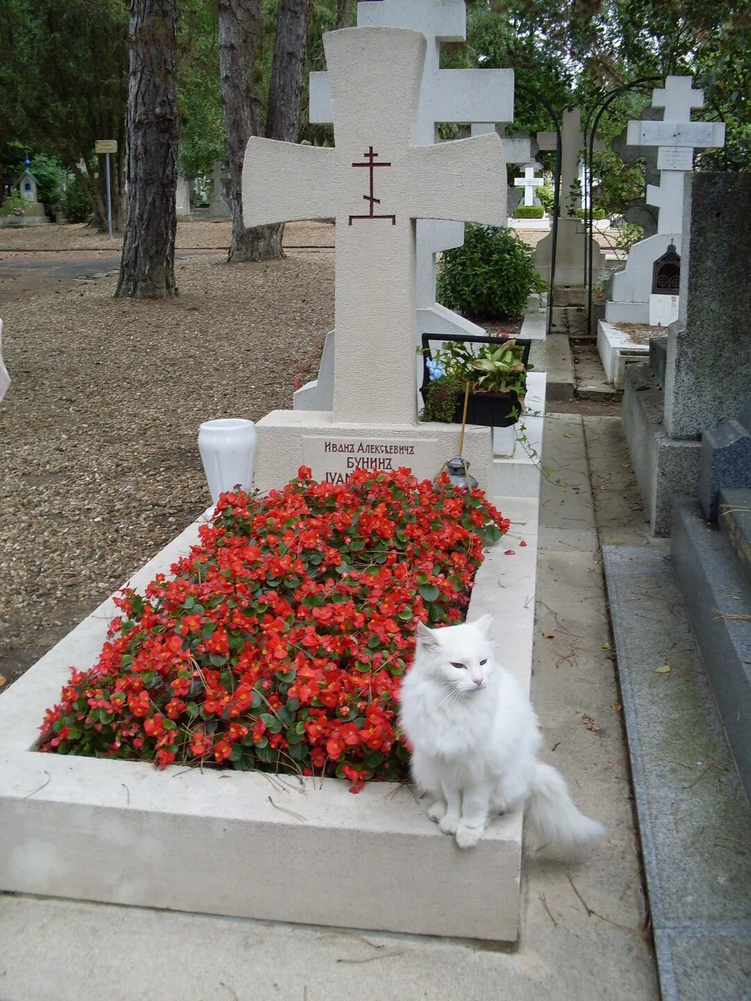 Сен женевьев де буа бунин. Иван бунин могила. Кладбище бунина. Бунин похоронен. Кладбище бунина сент женевьев де буа.