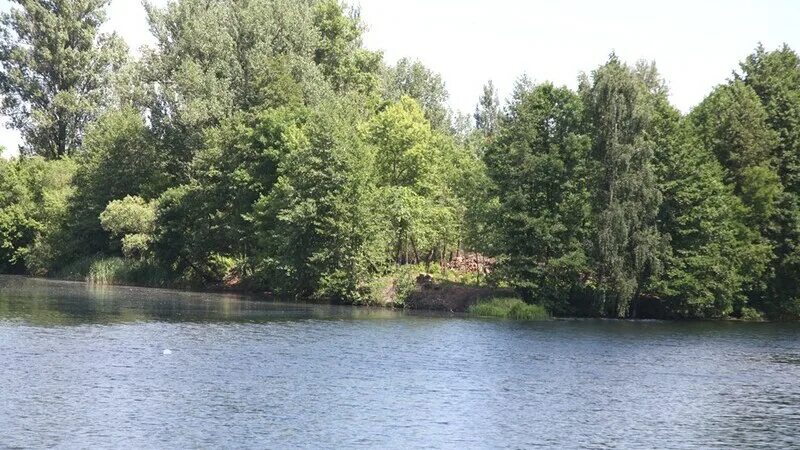 Река оскол изменяется в разные времена года. Мелеют реки. главная река это. дом у речки. река оскол.