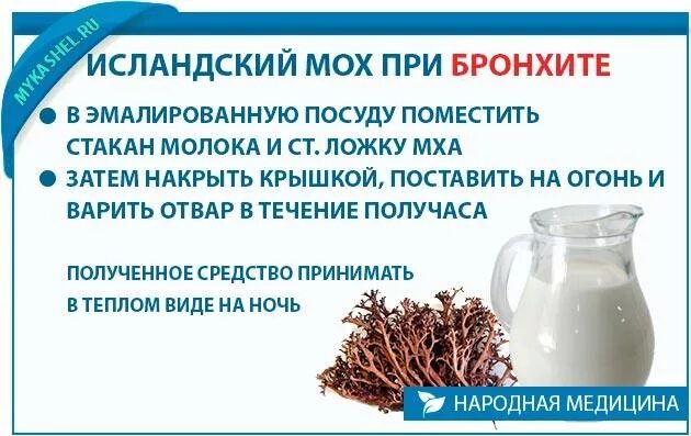 Какой мох пьют. Исландский мох от кашля. исландский мох от бронхита. исландский мох при бронхите. исландский мох для бронхов.