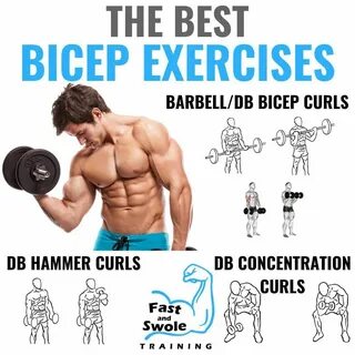 For Men, Bicep And Tricep Workout, Abs And Cardio Workout, Arm Workouts At ...