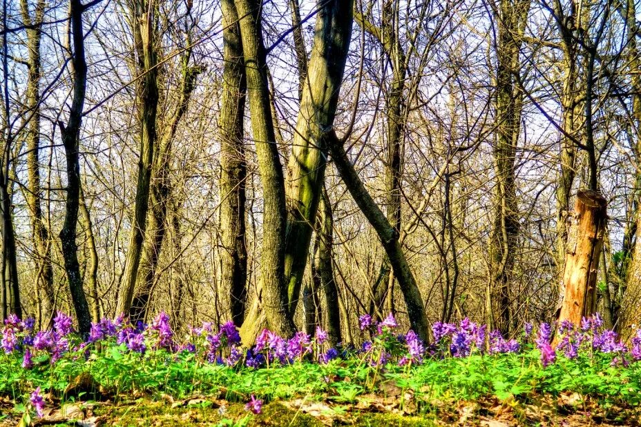 Good Morning ❤ Friends ✅ Briefly about the weather, #Северодвинск ⛅ 0 (Day +3 in