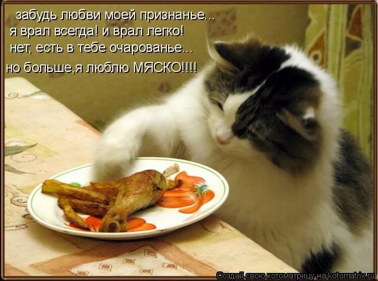 Есть что нибудь поесть