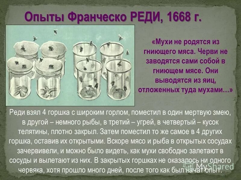 Песня реди фо фо. Песня реди фо фо. Песня реди фо фо. Песня реди фо фо. Песня софи клип.