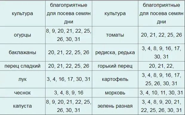 Какие дни посадка огурцов. Благоприятные дни для посадки огурцов. Благополучные дни для посадки огурцов. Огурцы благоприятные дни для посадки. Благоприятные дни для пересадки огурцов.