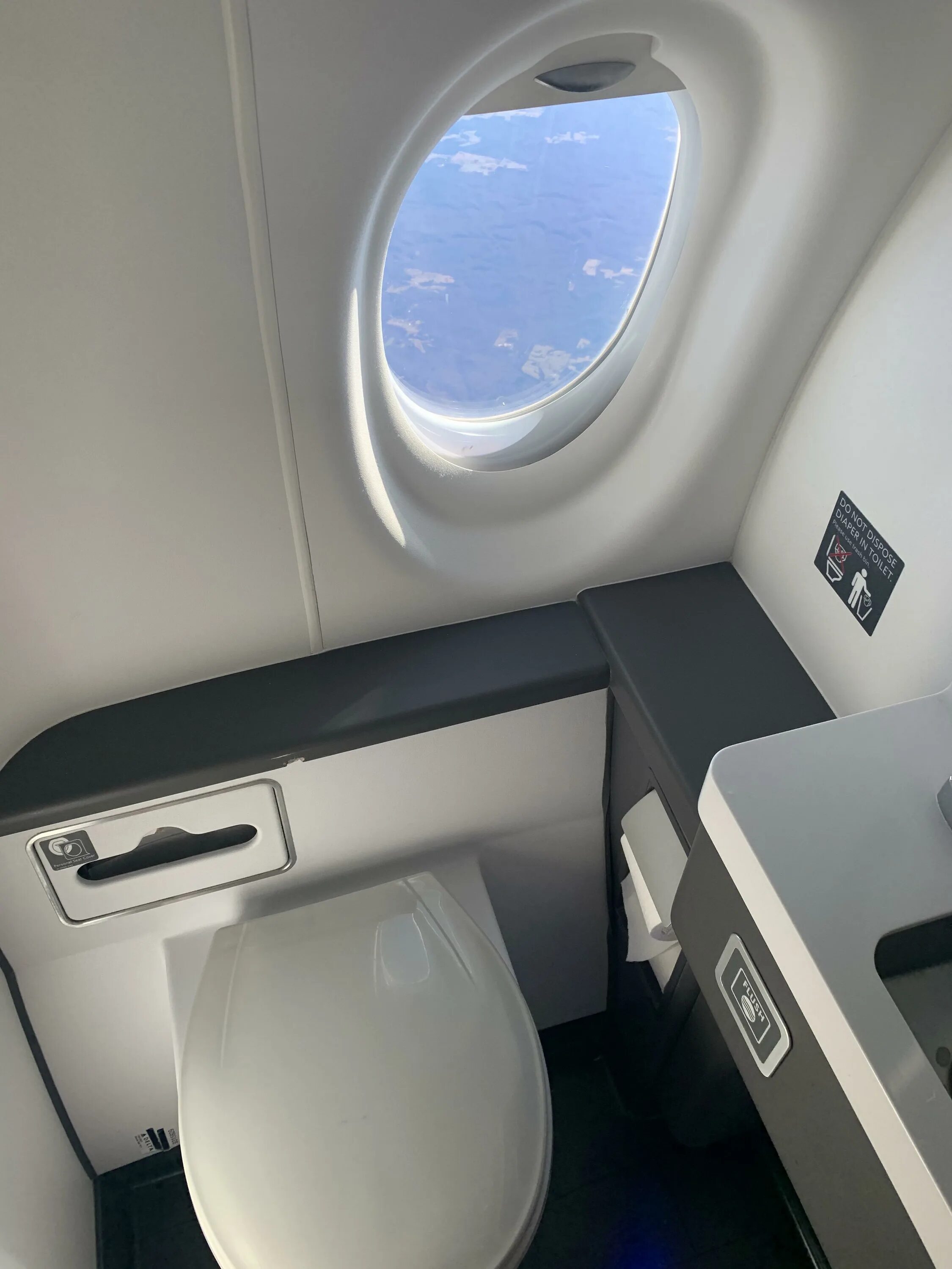 Туалет флайт. Туалет в самолете боинг 737. туалет в самолете боинг 777. унитаз в самолете. туалетная комната в самолете.