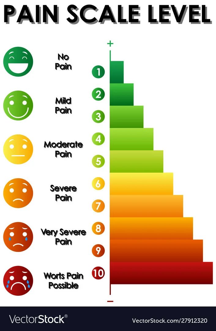 Scale levels