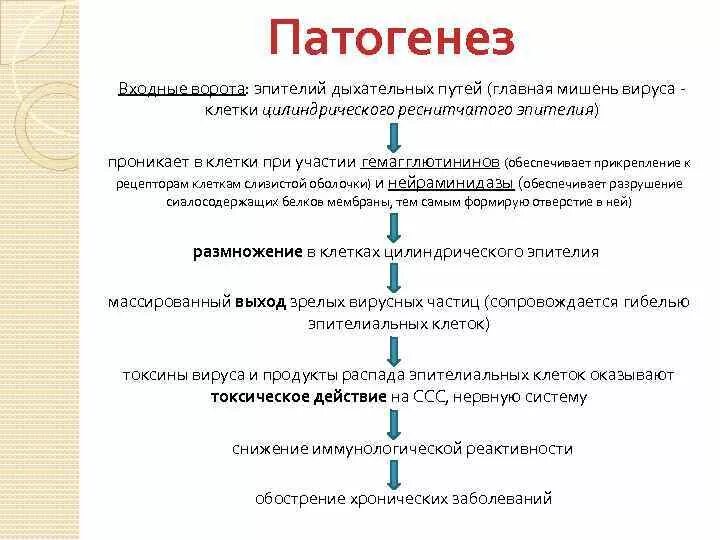 Признаки патогенеза. Патогенез респираторно синцитиальной инфекции. Эпидемический паротит патогенез схема. Патогенез вируса. РС инфекция патогенез.