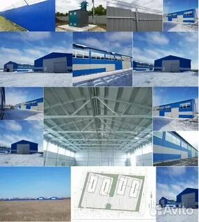 Логопарк 5 ростов