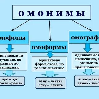 Омофоны омоформы