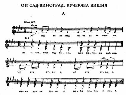 Песня ой молодой alex
