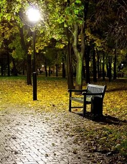 Парк ночью осень
