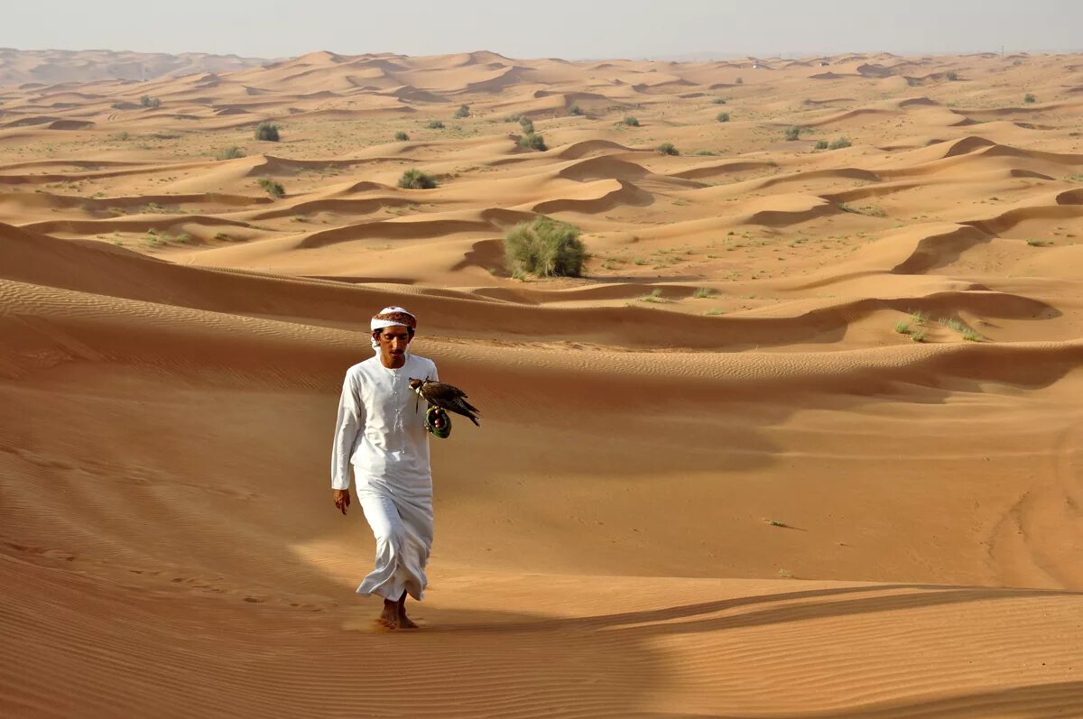 Арабские песни хали. Руб-Эль-Хали бедуины. Шейх бедуинов. Бедуины в пустыне. Дюна бедуины.