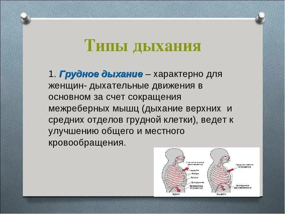 Грудной тип дыхания характерен для. Грудной Тип дыхания. Грудное дыхание. Грудное и диафрагмальное дыхание.