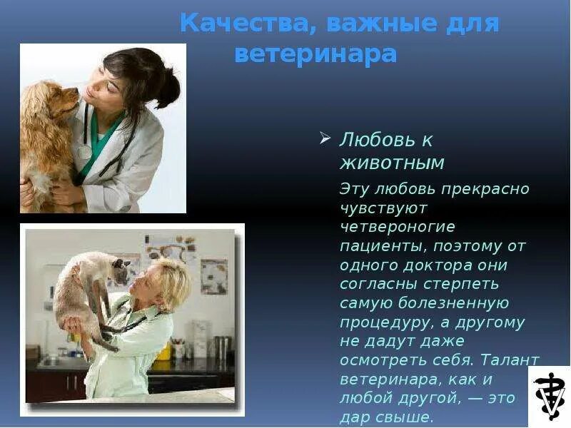 Ветеринар польза для общества. Рассказать о профессии ветеринар. Презентация на тему ветеринар. Ветеринар польза для общества. Ветеринар презентация.