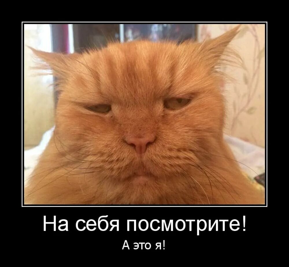 Злое утро. Злое утро
