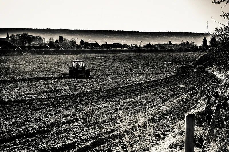 распашка целины. вспашка целины трактором. трактор мтз 80 в поле. распашка целины. 1954 освоение целины.