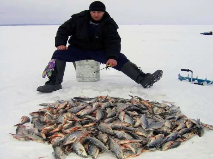 смешные моменты на рыбалке. девушка с огромной рыбой. где ее ловят. рыбак на рыбалке. ненецкий автономный округ полуостров канин.
