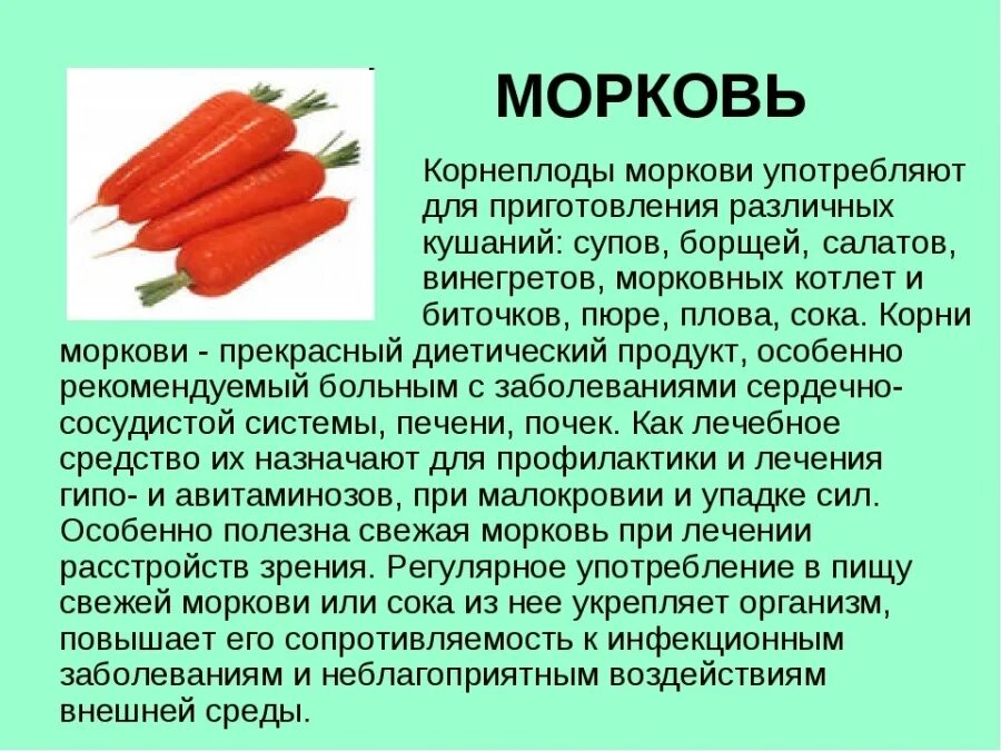 Класс растения морковь