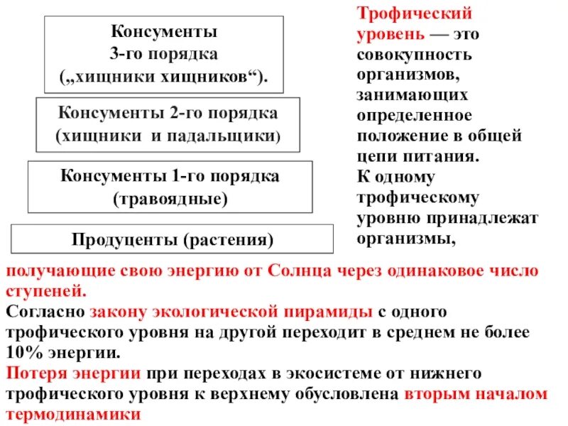 Второй трофический уровень образуют. Трофические уровни. Троыическийуровень это. Трофические уровни примеры. Второй трофический уровень.