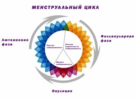 Забеременеть в последние дни цикла