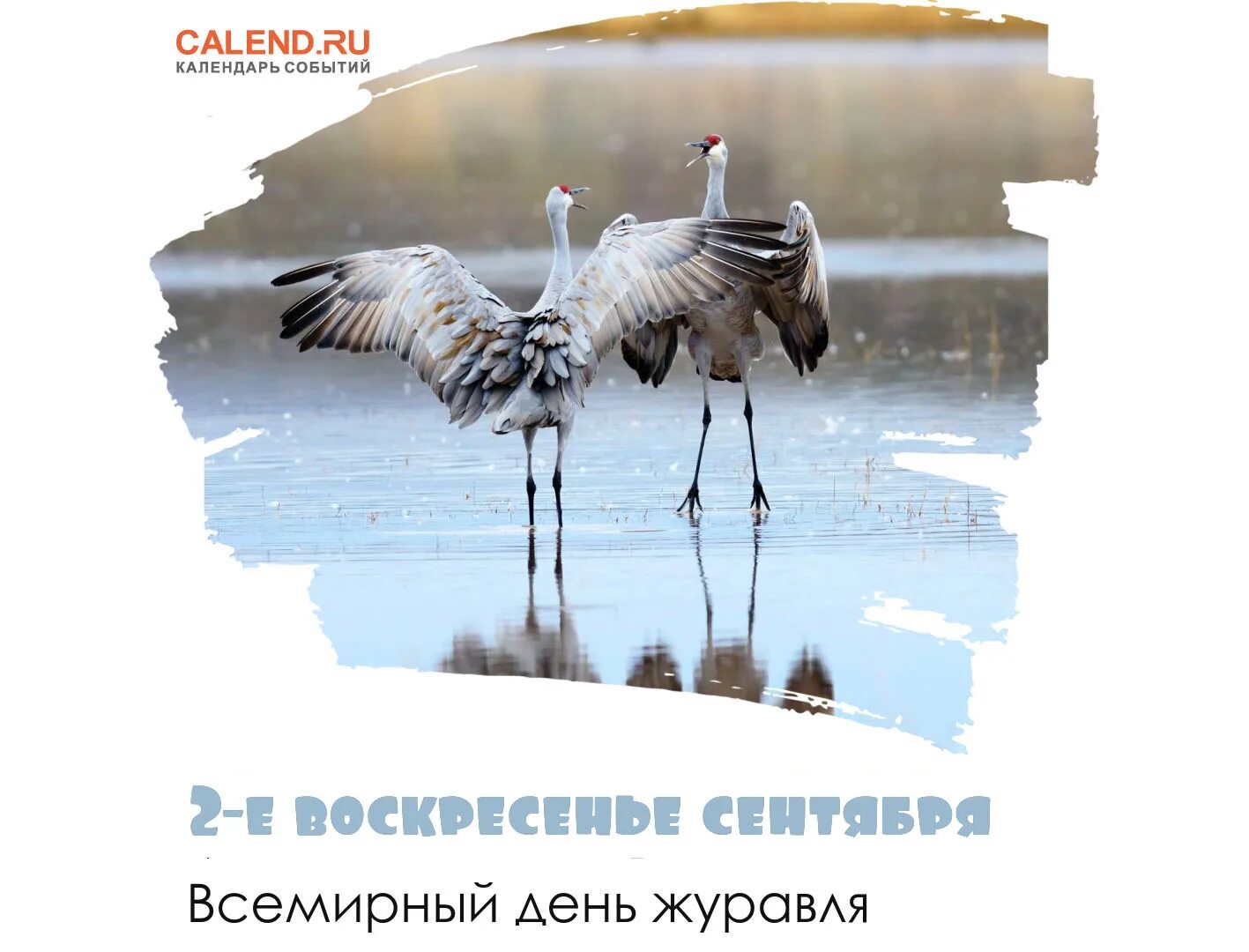 Всемирный день журавля 13 сентября. Всемирный день журавля. Картинка день журавлей. Всемирный день журавля анимация. Когда отмечается всемирный день журавля.