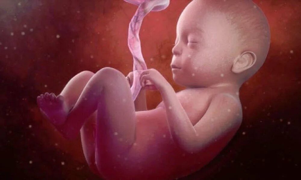 Leading Covid vaccine candidates used aborted babies God Reports