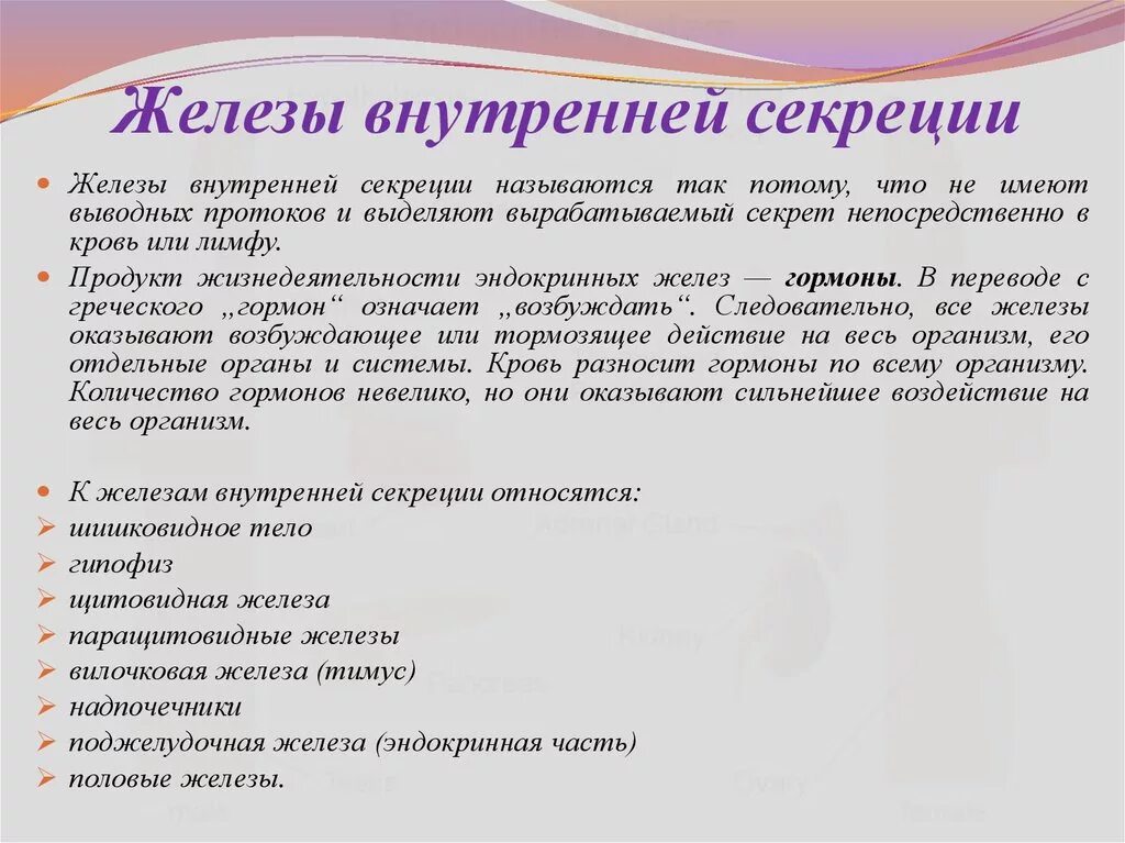 Какие железы выделяют свои секреты в кровь. Секрет желез внешней секреции непосредственно выделяется. Секрет желез внутренней секреции непосредственно. Секрет желез внутренней секреции непосредственно выделяется. Гормон от греческого слова.