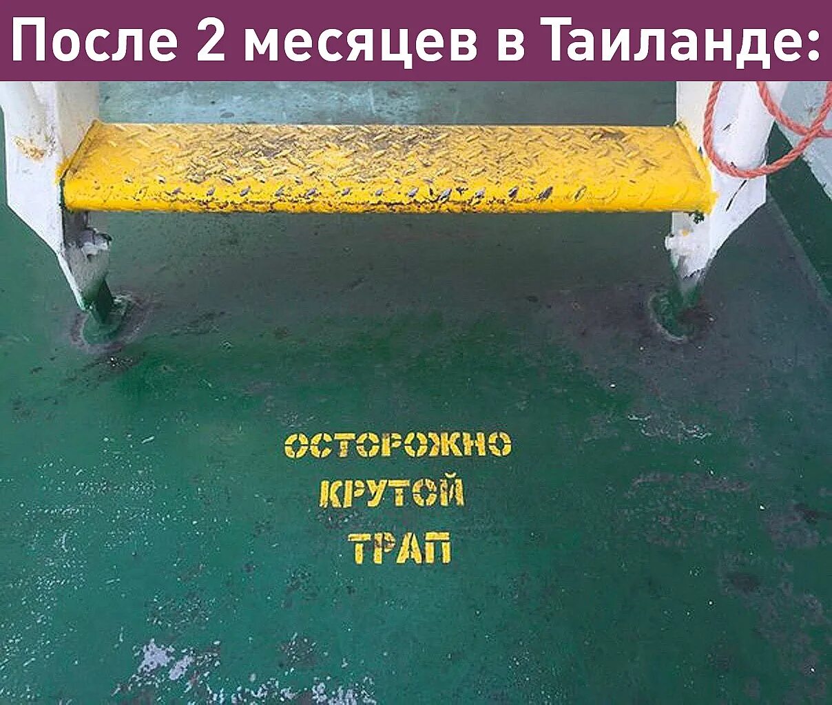 Крутой трап. Осторожно на трапе трап. Осторожно крутой трап картинка. Осторожно крутой трап Мем.