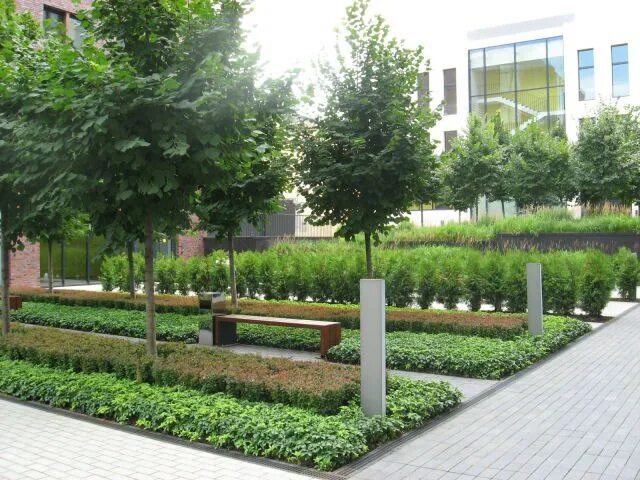 Что такое проект благоустройства территории у торгового центра. Благоустройство территории. Проект общественного здания. Озеленение территории. Озеленение и благоустройство территории.