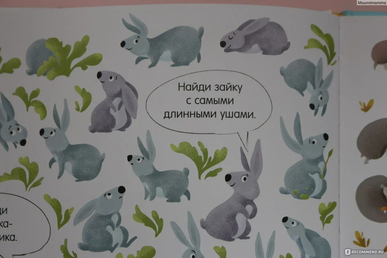 Найди и покажи. Животные. Найди зайку. Головоломка «заяц». Картинка Найди зайца среди животных. Игра найдем зайку