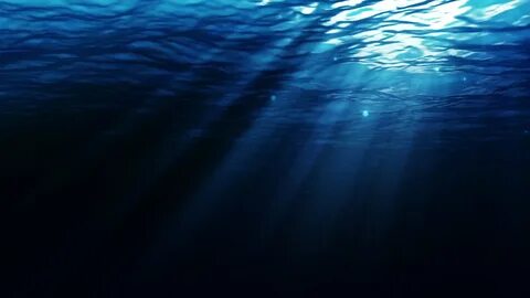 The deep sea 3d