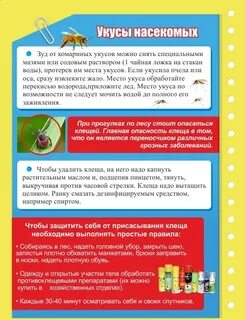 Укусы насекомых что делать после