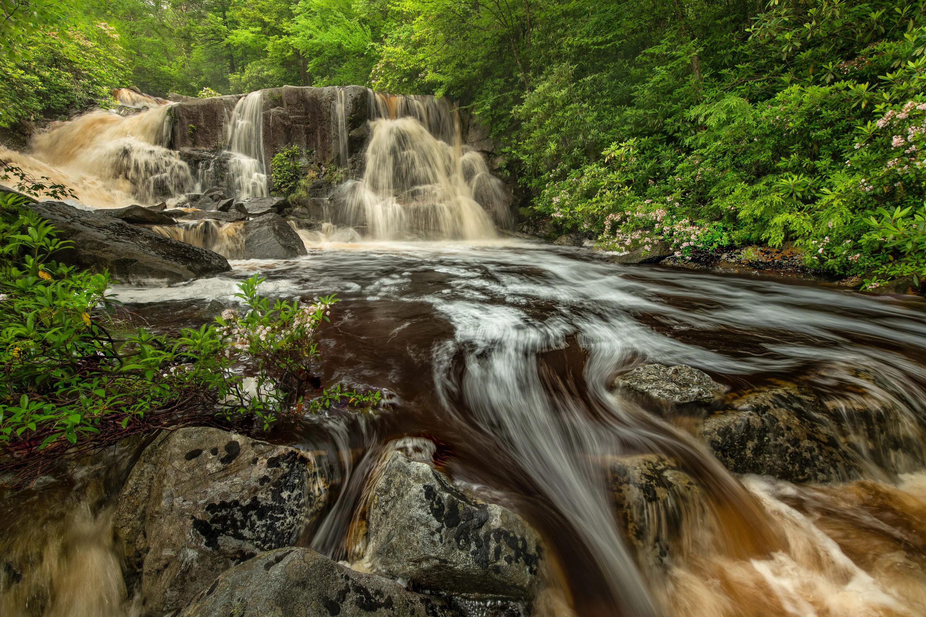 Парк водопады Блэкуотер. Быстрый водопад. Штат Вирджиния природа. Природа скалы обои Америка. Стремительный водопад