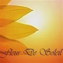 Fleur de soleil. Эмблема косметической компании флер. Фрагонар духи солнц. Fleur de soleil. Fleur de soleil.