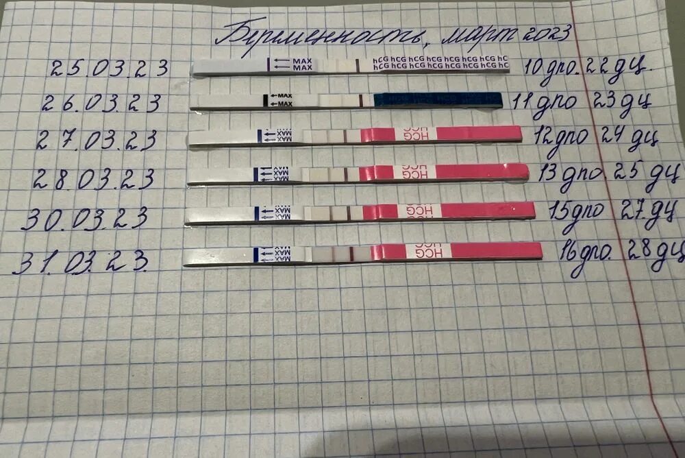 Тест когда будут месячные. Тесты на беременность по дням. HCG тест на беременность. Тест на беременность с первого дня. 9 День зачатия тест покажет.