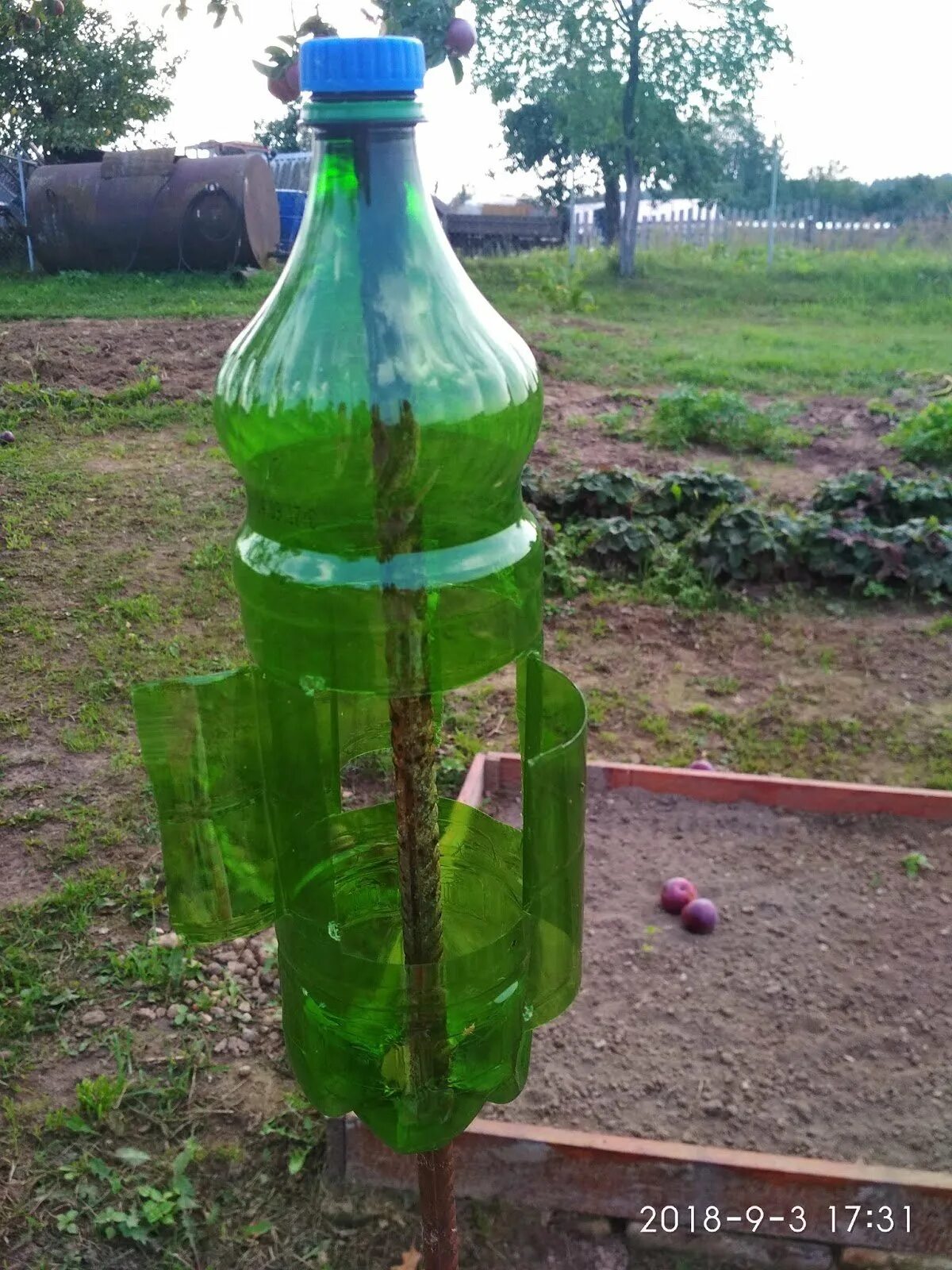 Отпугиватель кротов вертушка. Отпугиватель птиц для сада из бутылок. Шумелки из пластиковых бутылок для огорода. Пластиковая бутылка от кротов