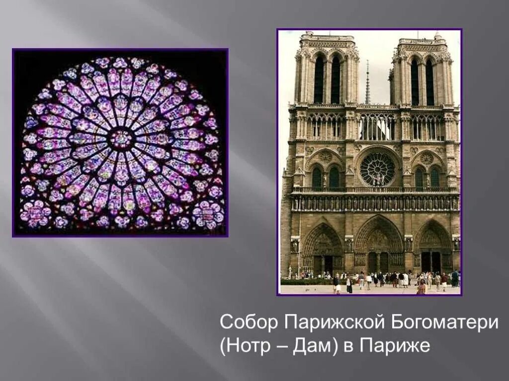 Краткое содержание нотердам