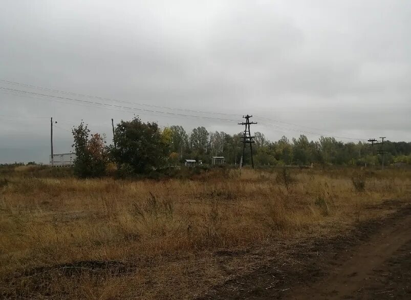 П тоцкое оренбургской. Поселок Суворовский Тоцкий район Оренбургская. Молодежный поселок Тоцкий район. Село весь. Лесополоса.