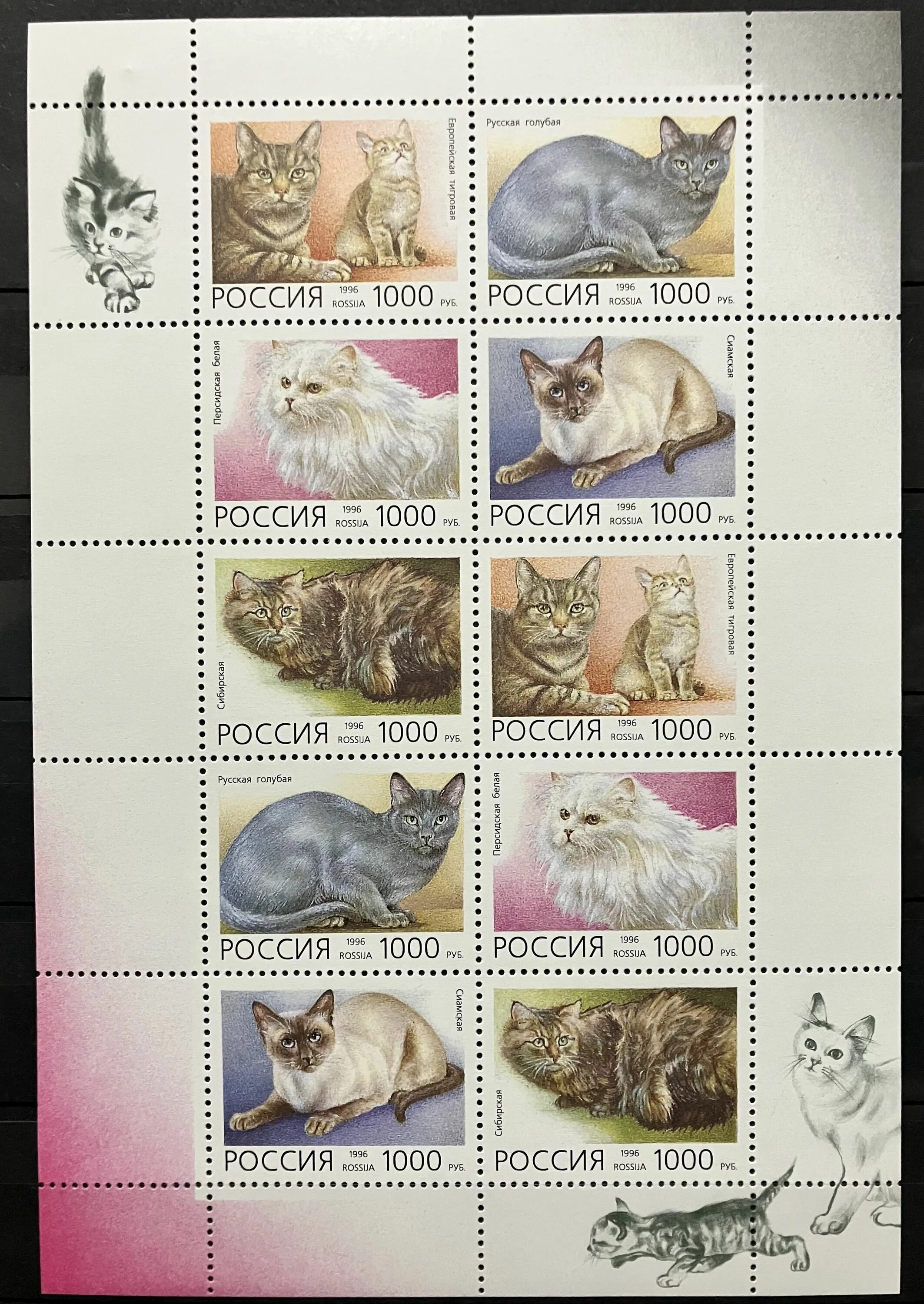 Марки кот. Кошки на почтовых марках. марки с котятами.