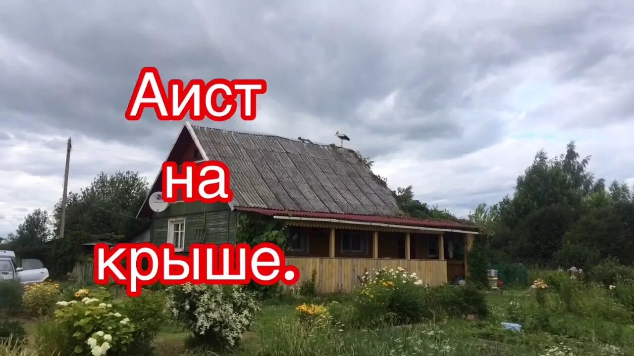 Аист на крыше мир на земле. Люди потише Аист на крыше. Аисты на крыше. Аист на крыше Тухманов.