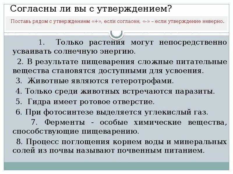 Согласны ли вы с следующим утверждением. Только растения могут непосредственно усваивать солнечную энергию. Согласны ли вы с утверждением. Особые химические вещества способствующие пищеварению это. Только ли растения могут усваивать солнечную энергию.