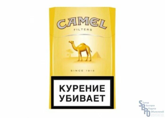 Купить сигареты в ставрополе. Пачка сигарет кэмел желтый. Camel Yellow сигареты. Cигареты с фильтром "Camel Compact". Сигареты кэмел компакт Yellow.