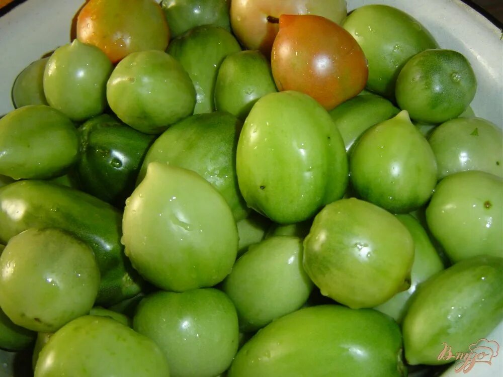 Купить зеленые томаты. Зеленые помидоры. Сорт зеленых помидор. Томаты зеленые квашеные. Маленькие зеленые помидоры.