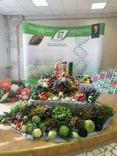 Федеральный центр овощеводства