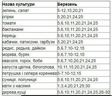 Удачные дни для посадки семян в марте
