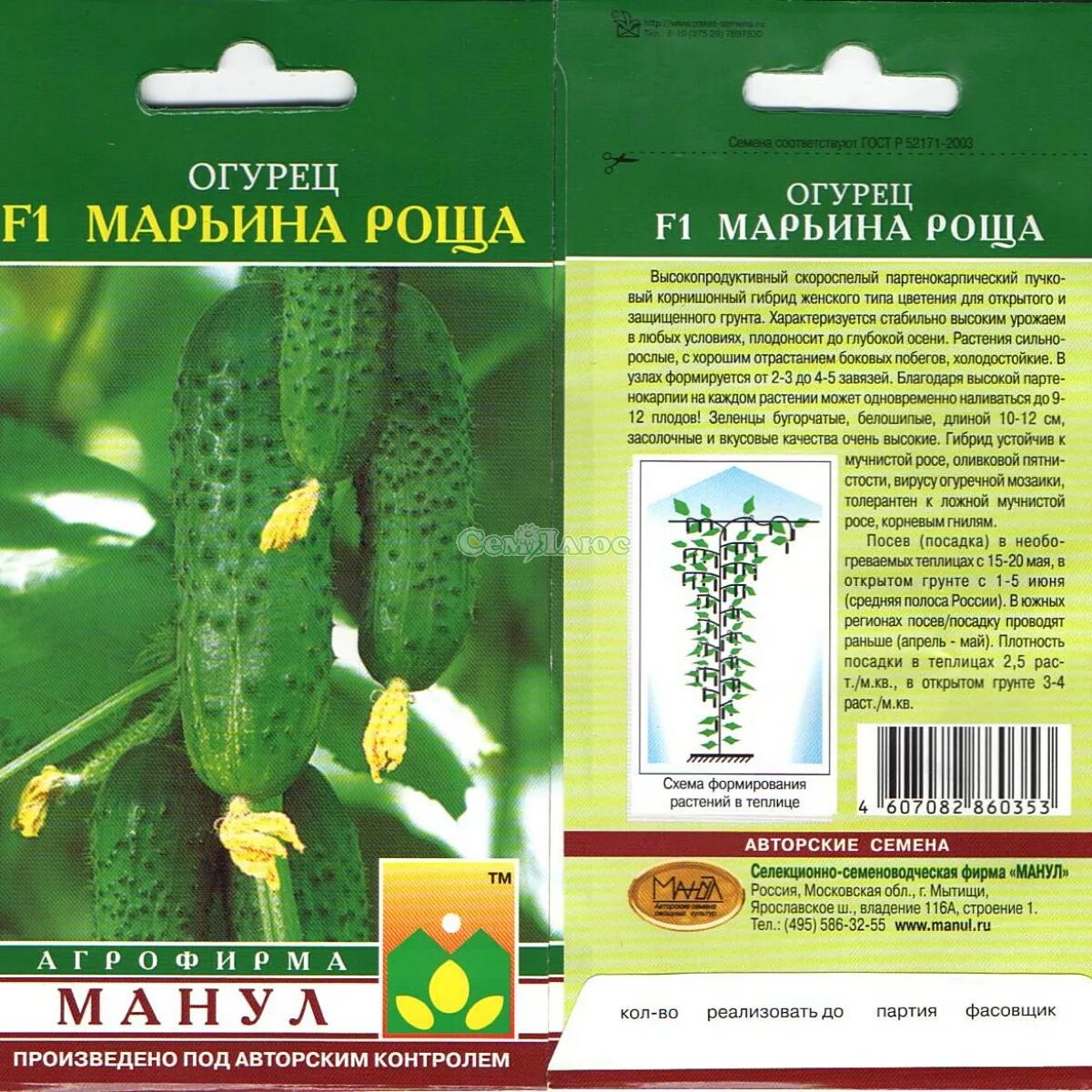 Огурец марьина роща манул 10 шт. Огурцы марьина роща фото. Марьина роща огурцы описание. Огурец марьина роща манул. Сорт огурца марьина роща.