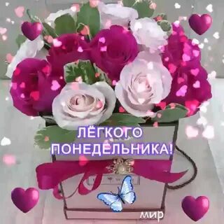 Понедельник 15 0 0