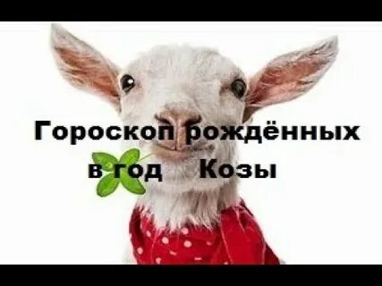 Гороскоп рожденных в год козы