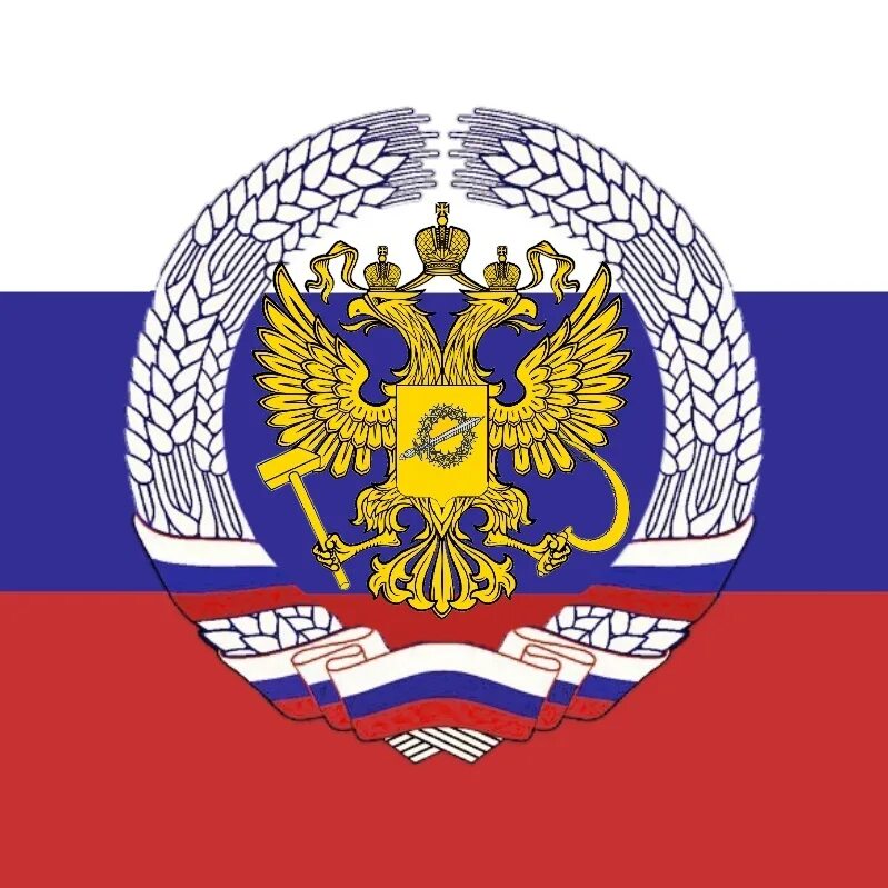 Герб рдфр альтернативный. Российская демократическая федеративная республика. Альтернативный флаг рсфср. Флаг социалистической словакии. Флаг российская советская федеративная социалистическая империя.